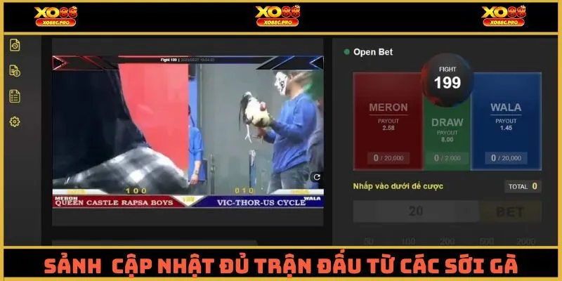 Sảnh game cập nhật đầy đủ trận đấu từ các sới gà