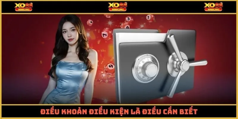 Điều khoản điều kiện là điều cần biết