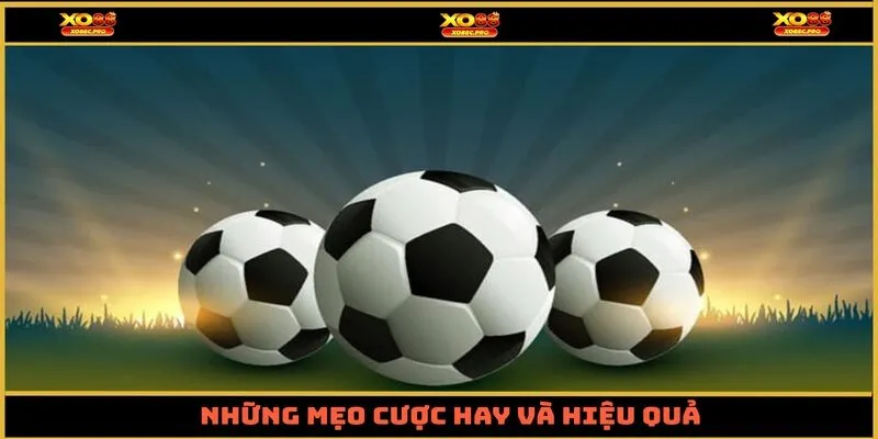 Những mẹo cược hay và hiệu quả