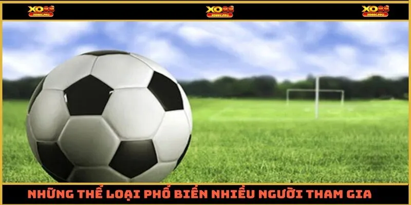 Những thể loại phổ biến nhiều người tham gia