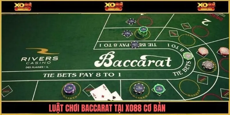  Những luật chơi cơ bản khi chơi baccarat XO88