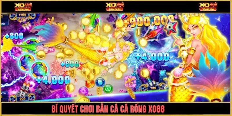 Bí quyết chơi bắn cá rồng XO88 hiệu quả