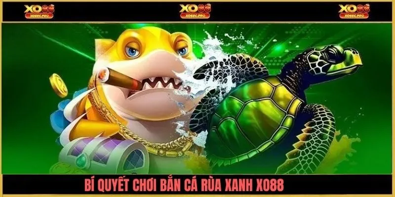 Bí quyết chơi bắn cá rùa xanh XO88 tăng tỷ lệ thắng